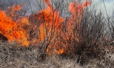 Locuitorii comunei Stăuceni sunt rugați să nu aprindă gunoiul menajer și vegetația, în preajma spațiilor agricole, fores...