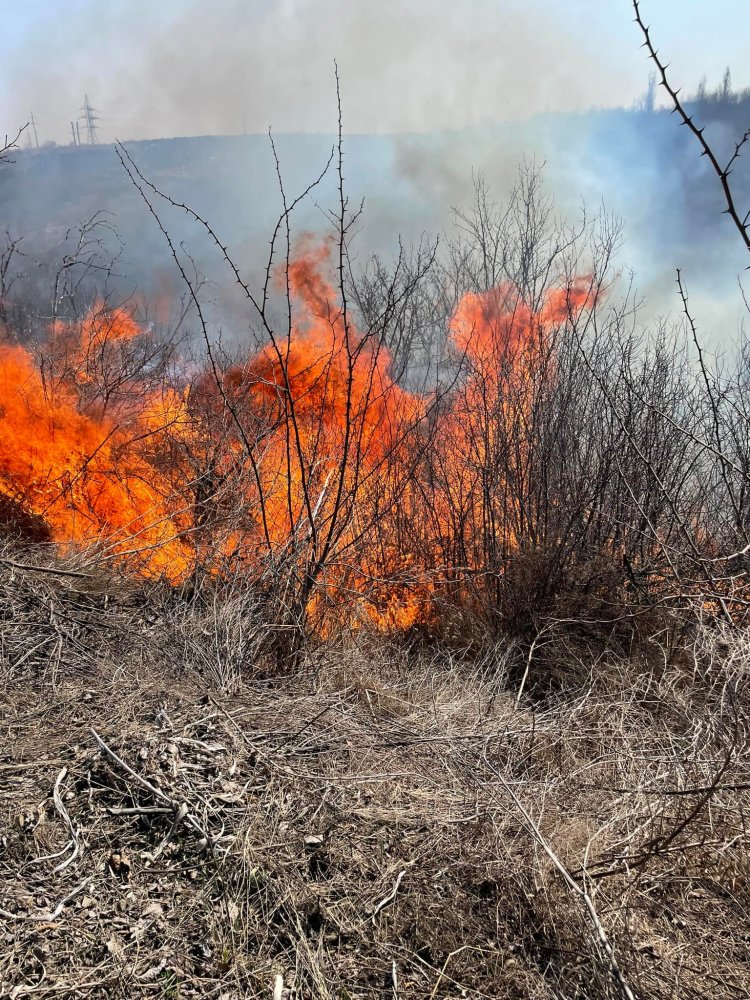 Locuitorii comunei Stăuceni sunt rugați să nu aprindă gunoiul menajer și vegetația, în preajma spațiilor agricole, fores...