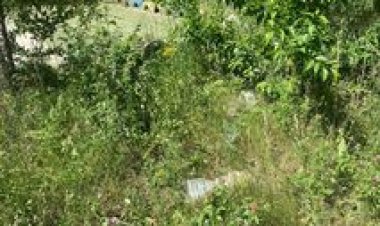 Tinerii din cadrul proiectului "START Stăuceni", împreună cu Primăria Stăuceni organizează o acțiune de salubrizare gene...