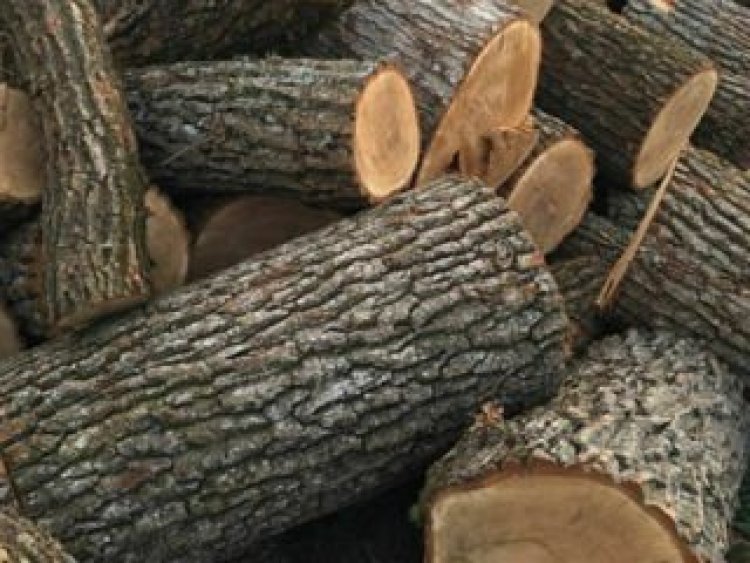 Stimați locuitori ai comunei Stăuceni, ????Ministerul Mediului informează despre posibilitatea de a procura masă lemnoasă...