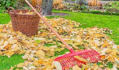 Stimați locuitori, SRL „Manevla Com” (serviciul de colectare a deșeurilor) informează ca deșeurile de vegetație (frunze,...