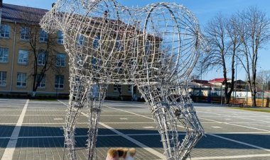 Stăuceni! 3.01.2023