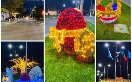 Cu prilejul Sărbătorilor Pascale, 300 de persoane din comuna Stăuceni beneficiază de pachete sociale, oferite de către A...