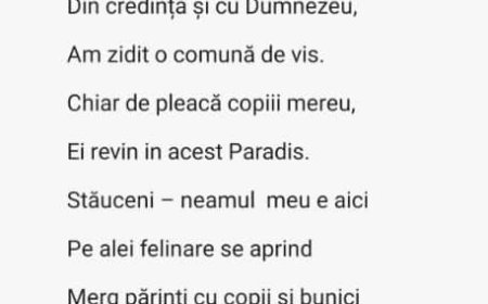 Anunț privind consultarea publică a  imnului orașului Stăuceni
