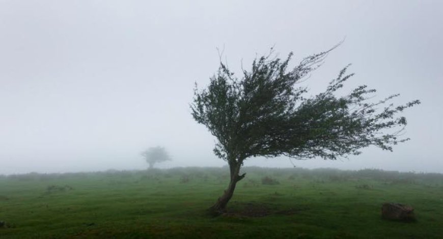 ⚠️ Stimați locuitori, recomandăm prudență maximă în raport cu comunicatul serviciului hidrometeorologic de start. ⚠️ Rec...