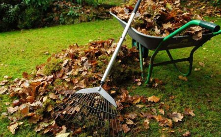 Dragi locuitori ai orașului Stăuceni, Vă aducem la cunoștință că SRL Manevla Com, (servicii de colectare a deșeurilor),...