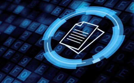 ACCESUL LA INFORMAȚIILE PUBLICE MANUAL