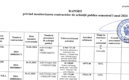 Raport privind contractele de achiziții publice
