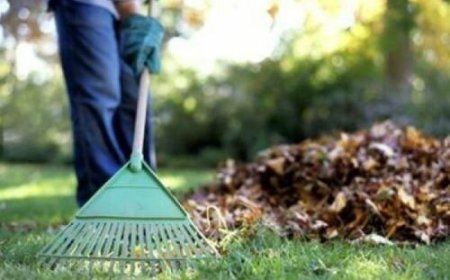 Dragi locuitori ai orașului Stăuceni, Vă aducem la cunoștință că SRL Manevla Com, (servicii de colectare a deșeurilor), va efectua colectarea deșeurilor de vegetație (frunze, crengi etc.)