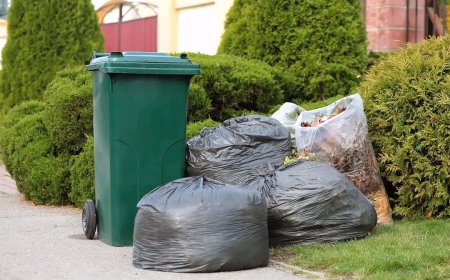 Stimați cetățeni, Vă informăm că în zilele de 01.01.2025 și 07.01.2025 nu se vor colecta deșeurile menajere din localita...