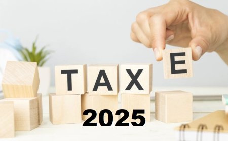 Taxele locale pentru anul 2025 în orașul Stăuceni