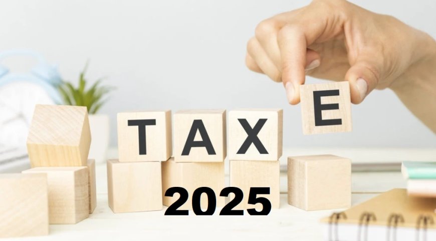 Taxele locale pentru anul 2025 în orașul Stăuceni