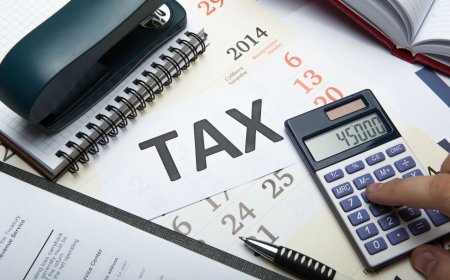 Taxe locale - activitate economică 2025