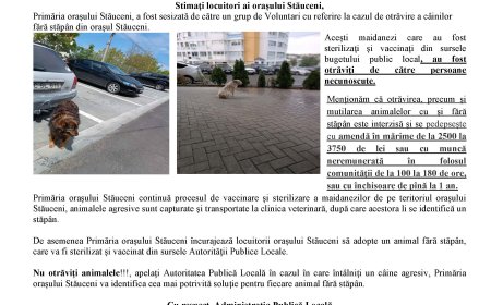 Maidanezi otrăviți