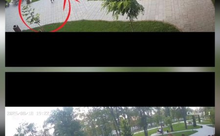 Administrația Publică Locală solicită părinților minorilor care, ieri seara, 18 august 2025, ora 19:22, au rupt arborele...