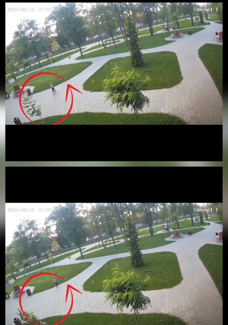 Administrația Publică Locală solicită părinților minorilor care, ieri seara, 18 august 2025, ora 19:22, au rupt arborele...