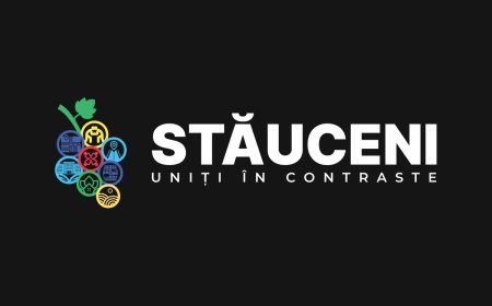 Stăuceni - uniți în contraste