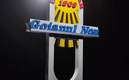 Anunț privind consultarea denumirilor de stradă propuse pentru satul Goianul Nou, or. Stăuceni