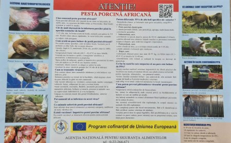 Convocarea Comisiei pentru Situații Excepționale Stăuceni