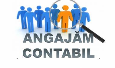 Primăria comunei Stăuceni angajează contabil