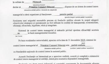 Declarația de răspundere managerială