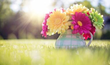 Mesaj de felicitare cu prilejul Ziua lucrătorului Serviciului Fiscal