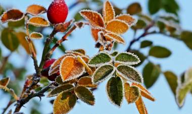AVERTIZARE METEOROLOGICĂ
