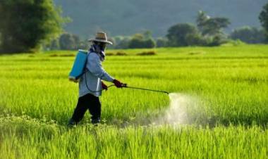 Spre atenția apicultorilor - graficul de tratare a terenurilor agricole