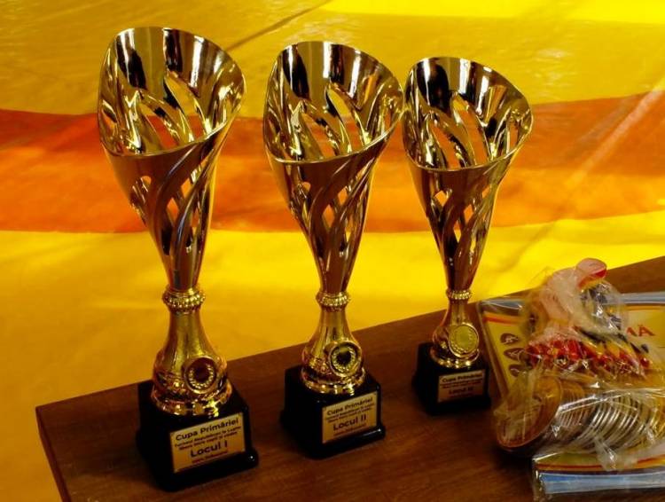 Turneul Republican la Lupte libere între copii și cadet din comuna Stăuceni