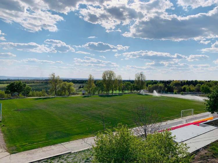 Relațiilor de colaborare cu FMF 