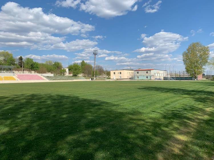 Relațiilor de colaborare cu FMF 