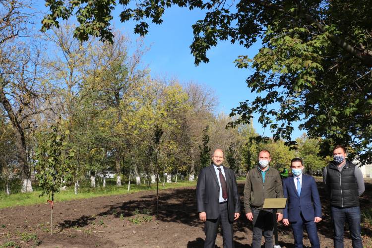 La Stăuceni a fost plantată Aleea Convenției Primarilor pentru Climă și Energie