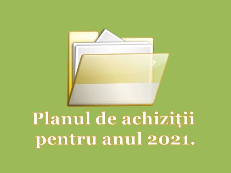 Planul de achiziții publice pentru anul 2021
